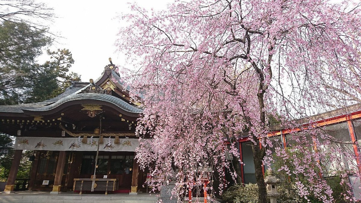 ⛩️ 스즈카묘 신사 (스즈카묘진샤) 이미지 1